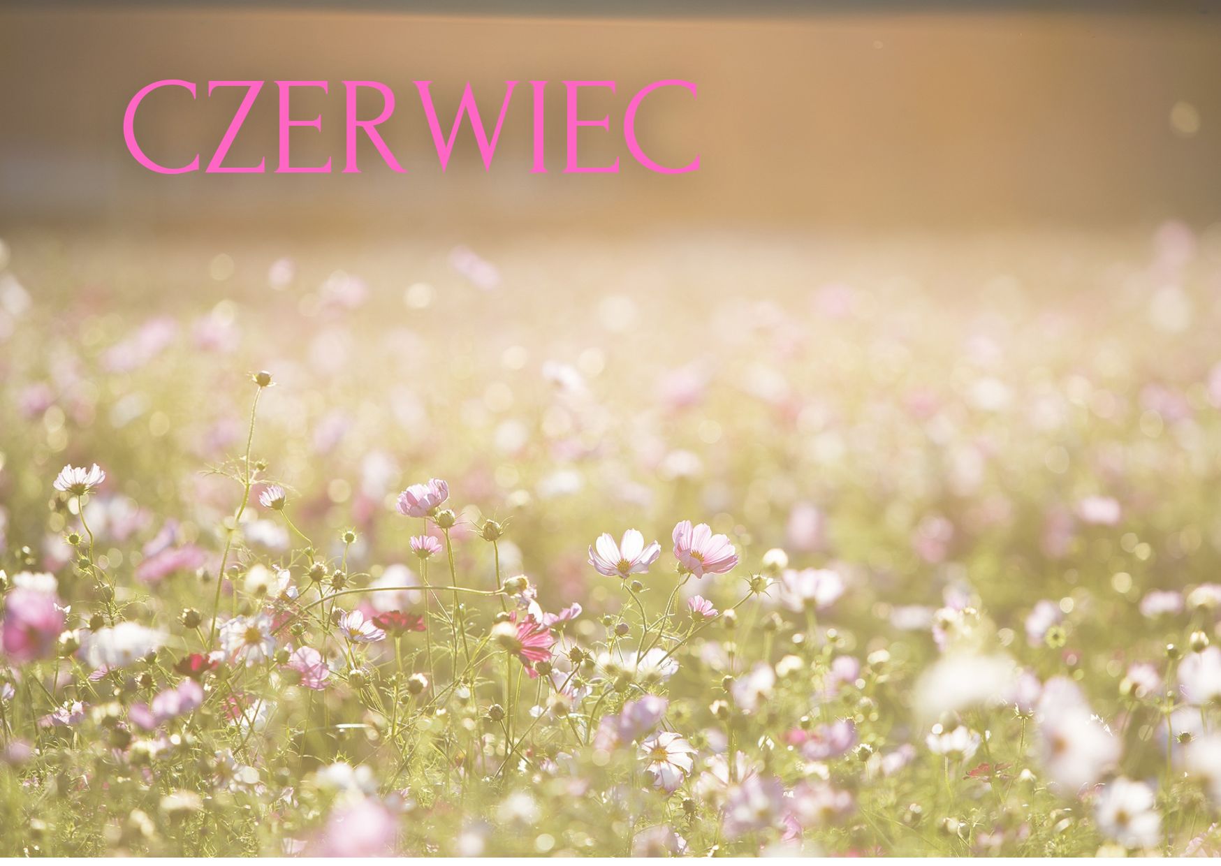 Słoneczny czerwiec w naszym Domu!