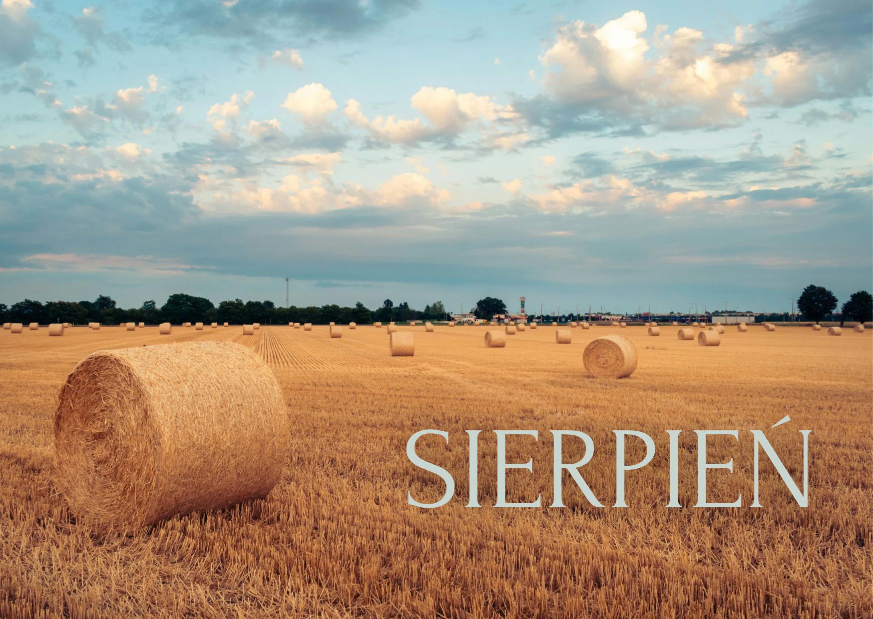 Sierpień w naszym Domu