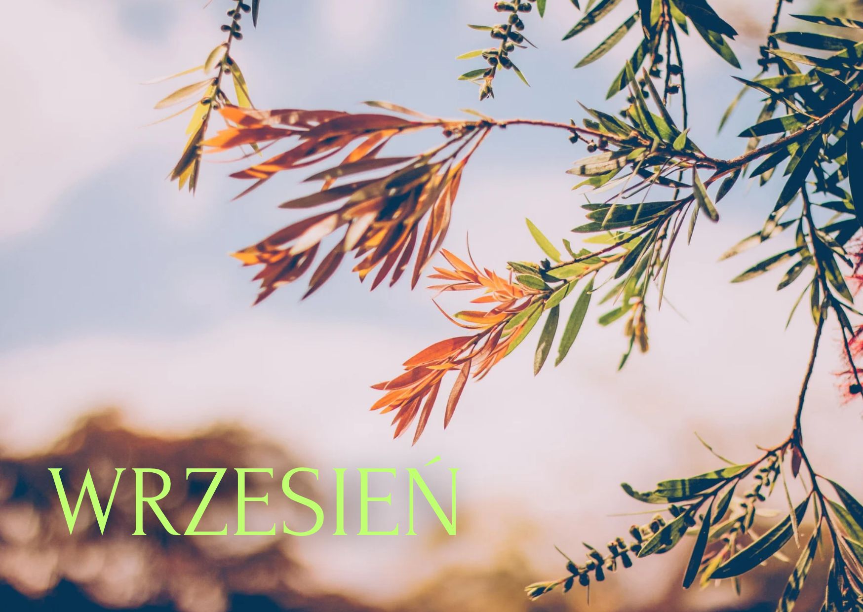 Wrzesień pełen emocji, muzyki i wspólnoty
